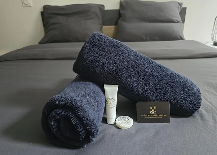 Ideal Couples & Pro - Patio Exterieur- Proche Centre Ville Et Gare - Promenade Au Bord De La Charente - Parking A Proximite - Wifi Tres Haut Debit - Equipement Premium -Netflix
